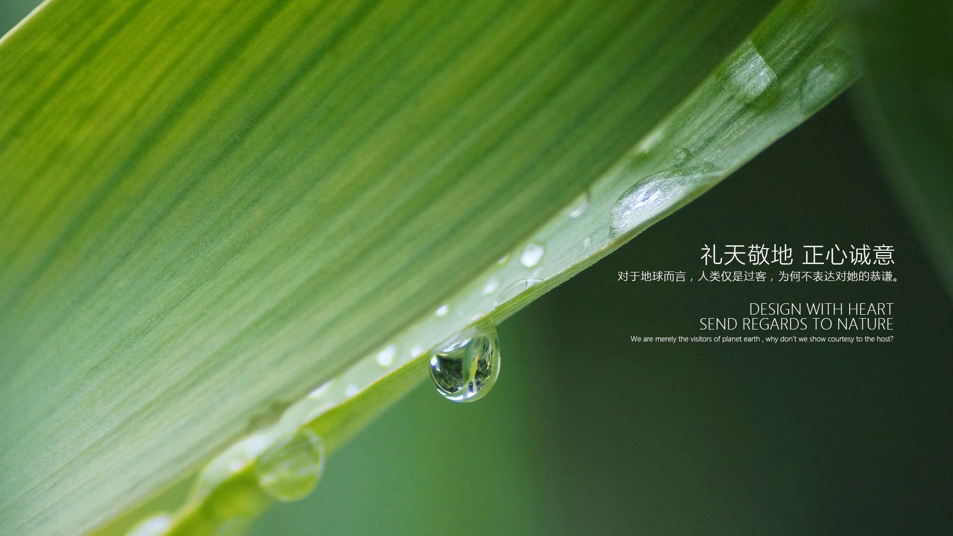 02 礼天敬地正心诚意
