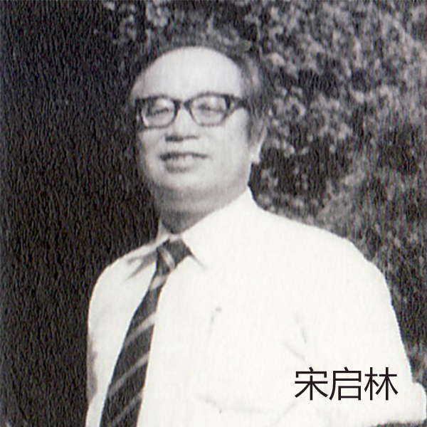 宋启林