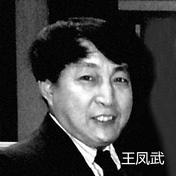王凤武
