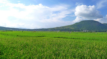 【城试】城市生态规划探索