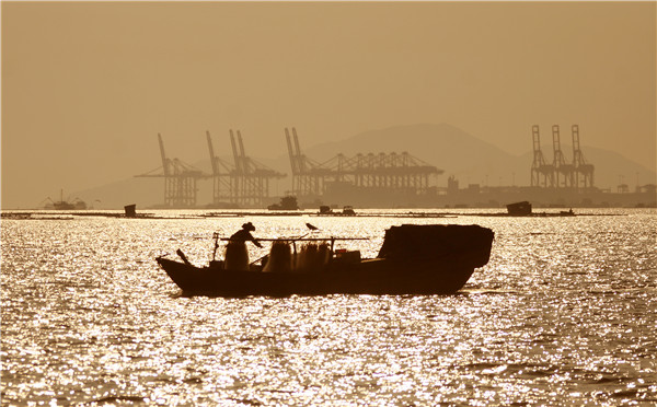 深圳湾