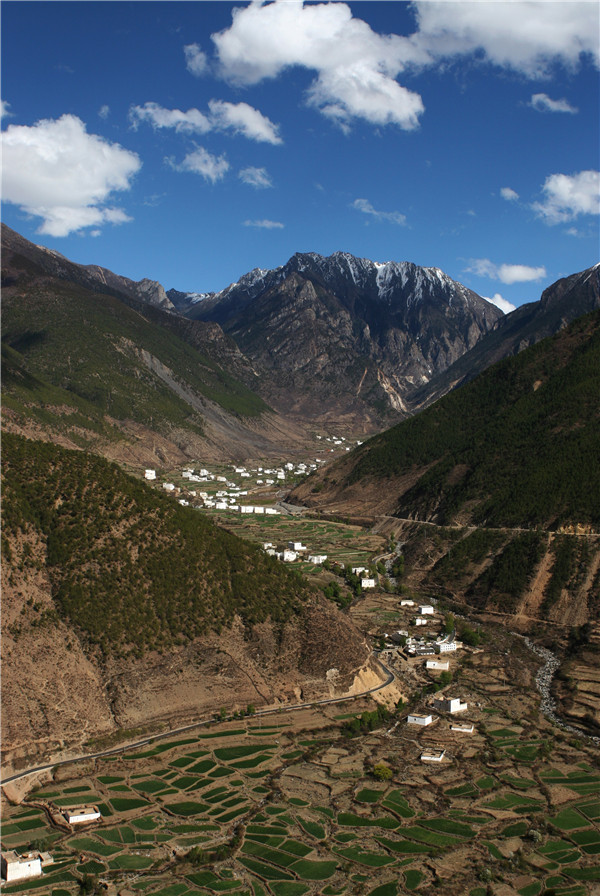 居