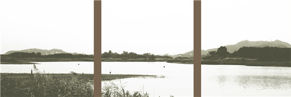 李晶梅-探访香港湿地公园