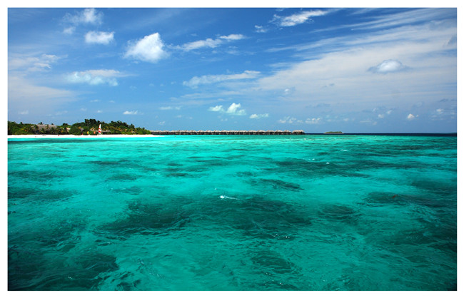 蒋丕彦-Maldives