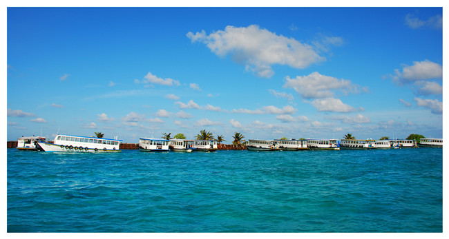 蒋丕彦-Maldives