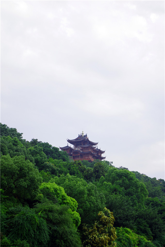 陈智鑫-西湖·掩寺