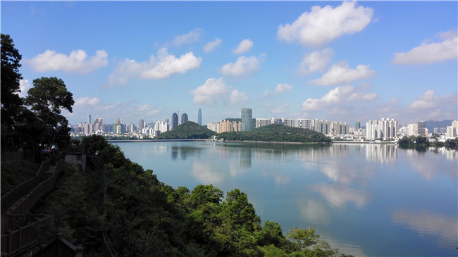 魏正波-东湖绿影