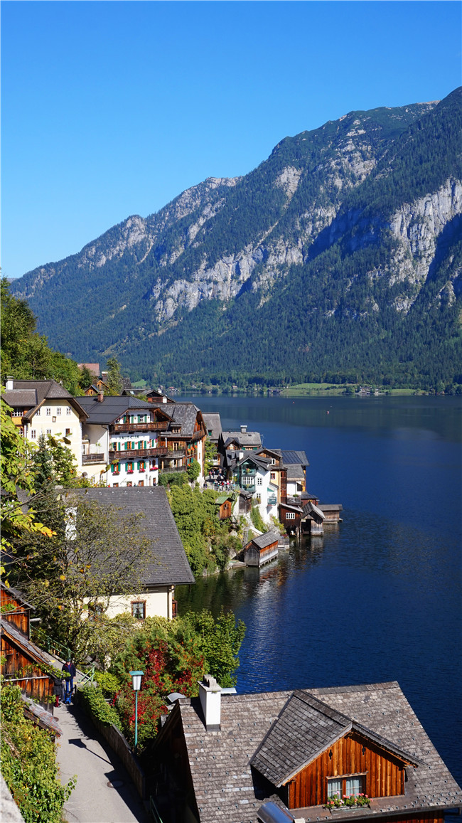 崔福麟-HALLSTATT 