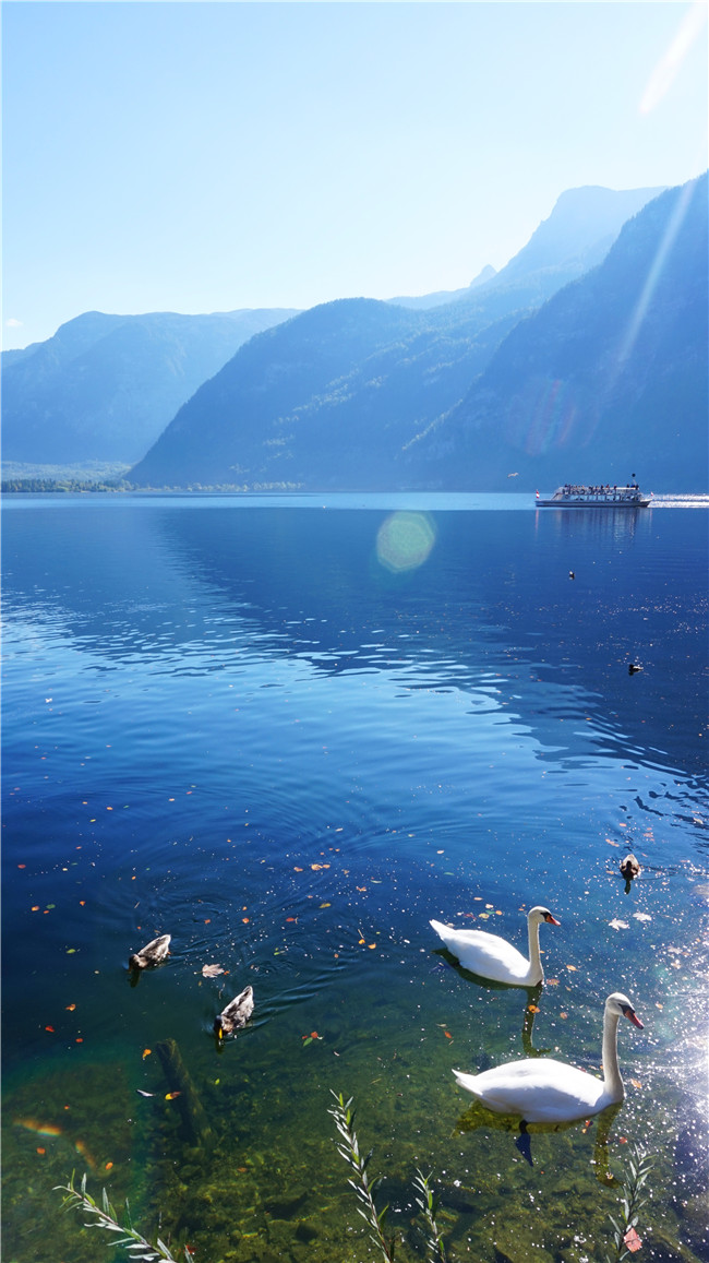 崔福麟-HALLSTATT