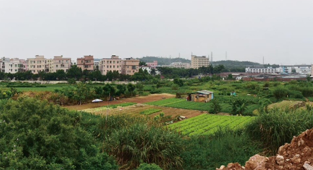 【城适】都市里的村庄——龙岗大社区规划的探索