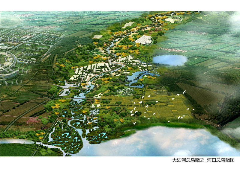 青岛大沽河干流沿岸地区概念规划