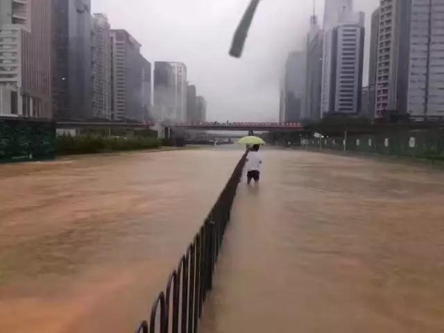 深圳下雨天，想陪你一起在“全天候步行系统”里看海